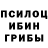Псилоцибиновые грибы Cubensis alhaf adl