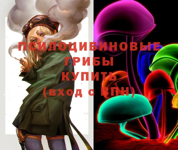 не бодяженный Вяземский