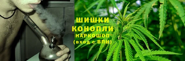 крисы Вязники