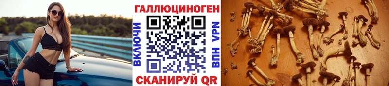 Галлюциногенные грибы MAGIC MUSHROOMS  Злынка 